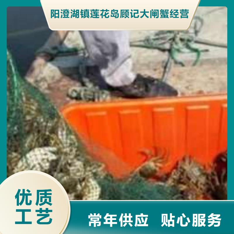 阳澄湖大闸蟹-送货上门