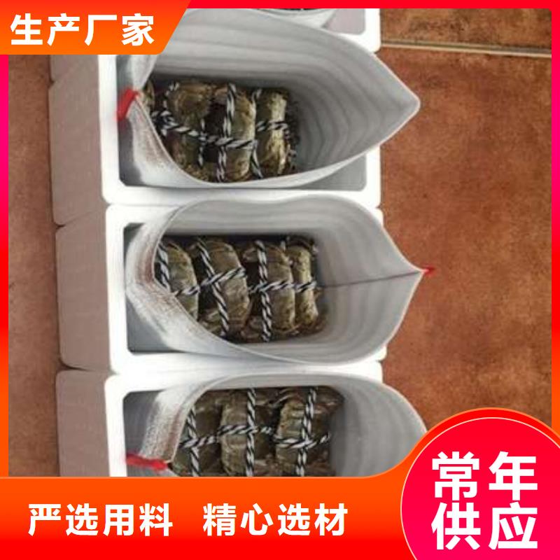 阳澄湖大闸蟹厂家直销-型号齐全
