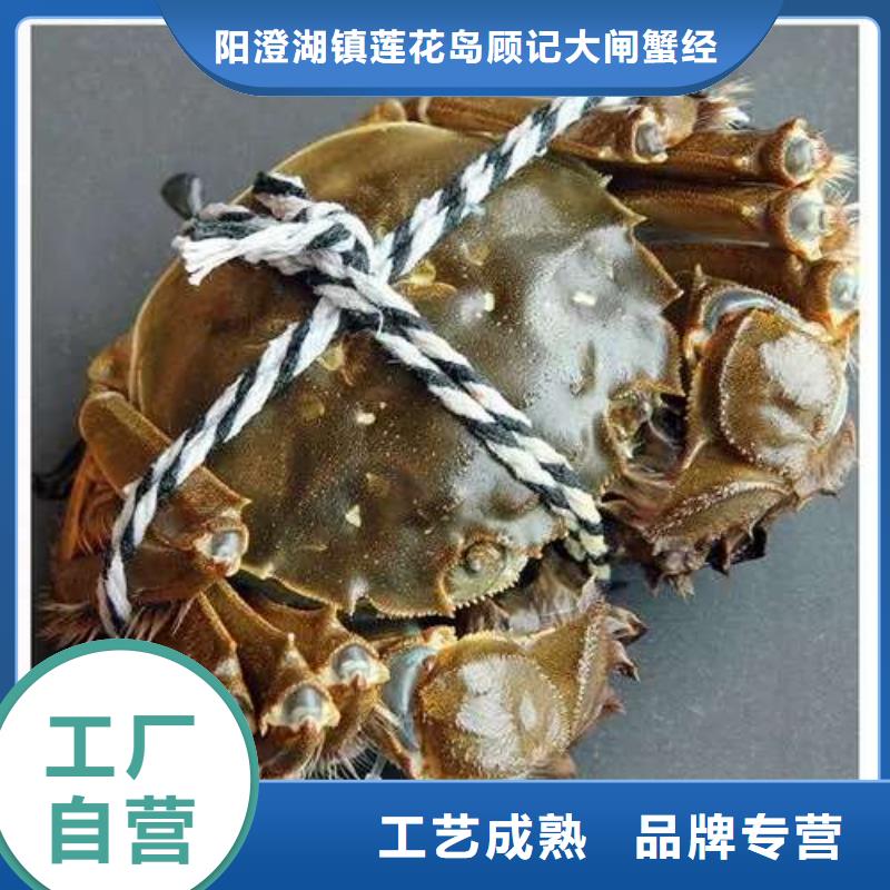 东莞市鲜活阳澄湖螃蟹现货