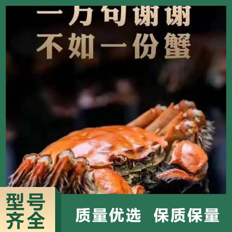 阳澄湖大闸蟹质量优质的厂家