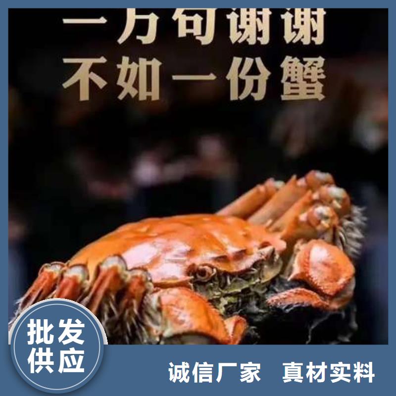 阳澄湖大闸蟹厂家直销-型号齐全