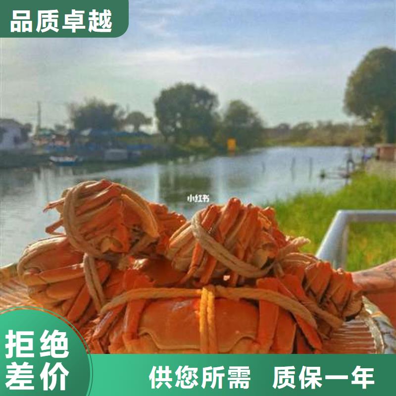 揭阳市鲜活阳澄湖螃蟹精品团购