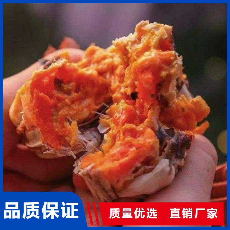 有现货的阳澄湖大闸蟹供货商