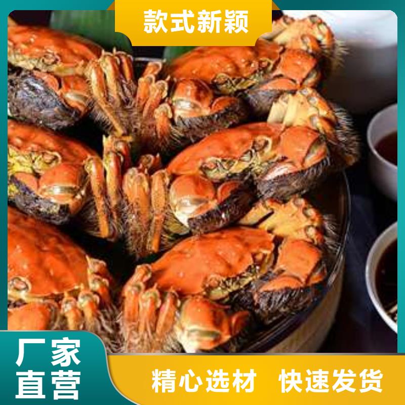 常年供应阳澄湖大闸蟹厂家