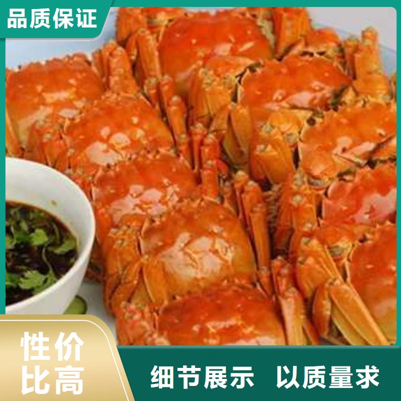 价格合理的阳澄湖大闸蟹经销商