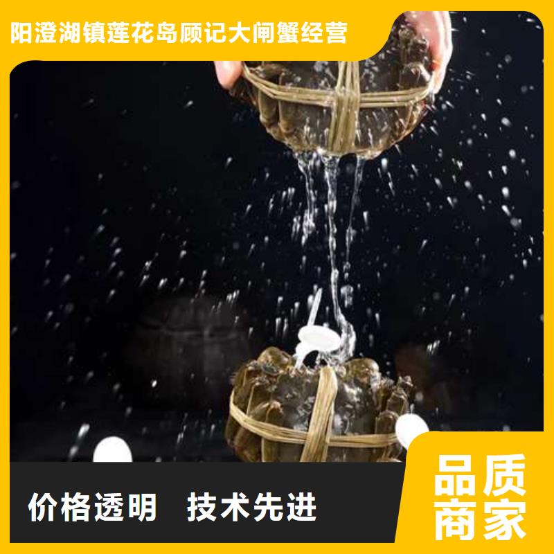 阳澄湖大闸蟹质量优质的厂家