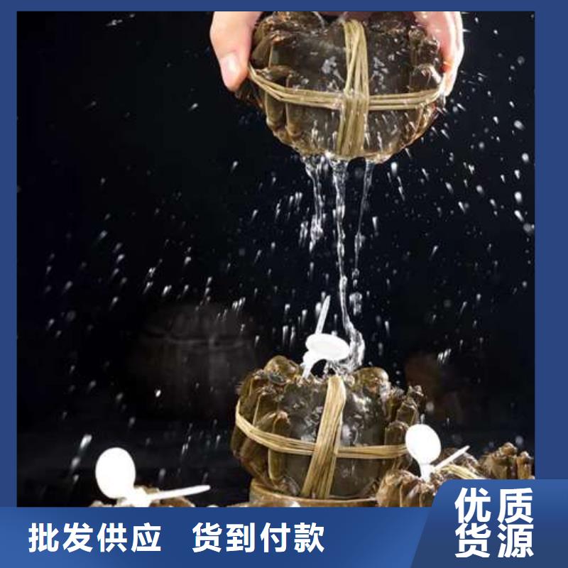 阳澄湖大闸蟹、阳澄湖大闸蟹价格