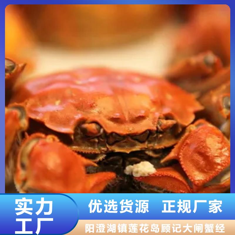阳澄湖大闸蟹源头厂家