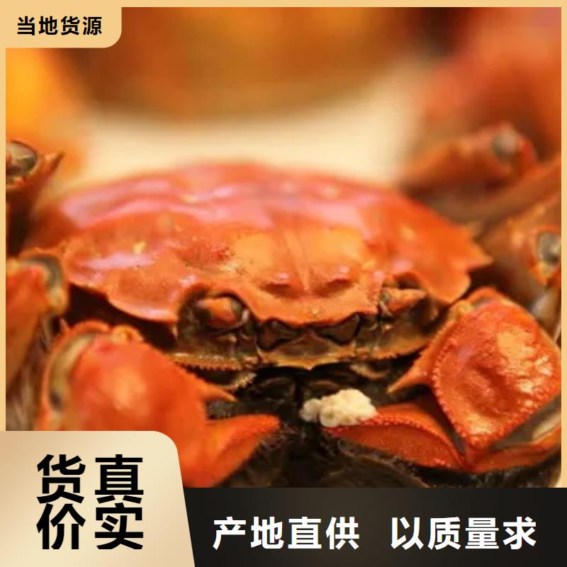 阳澄湖大闸蟹制造厂家