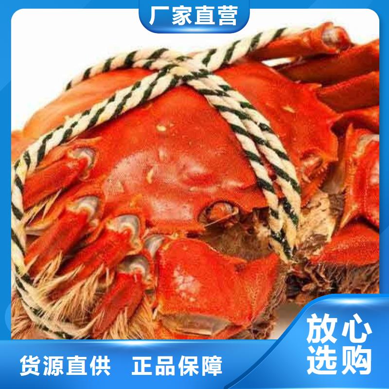 阳澄湖大闸蟹厂家质优价廉