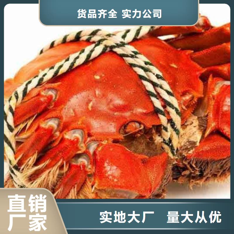阳澄湖大闸蟹生产定制