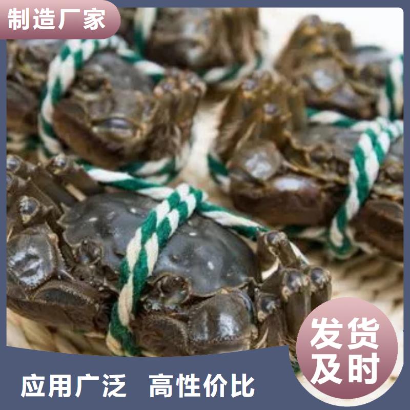 #阳澄湖大闸蟹#厂家
