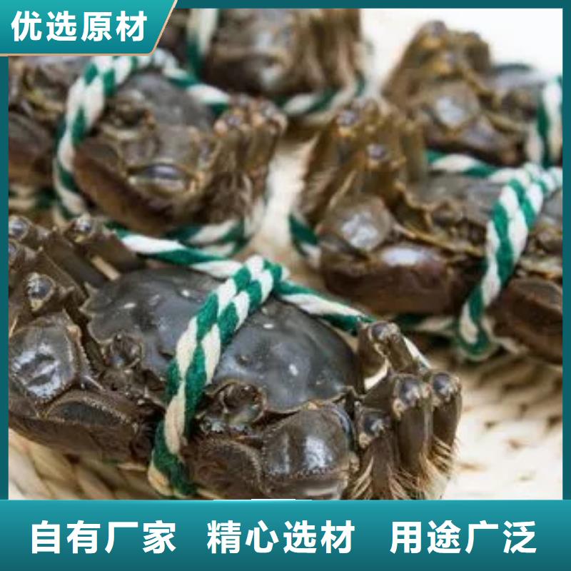 阳澄湖大闸蟹厂家直销-价格实惠