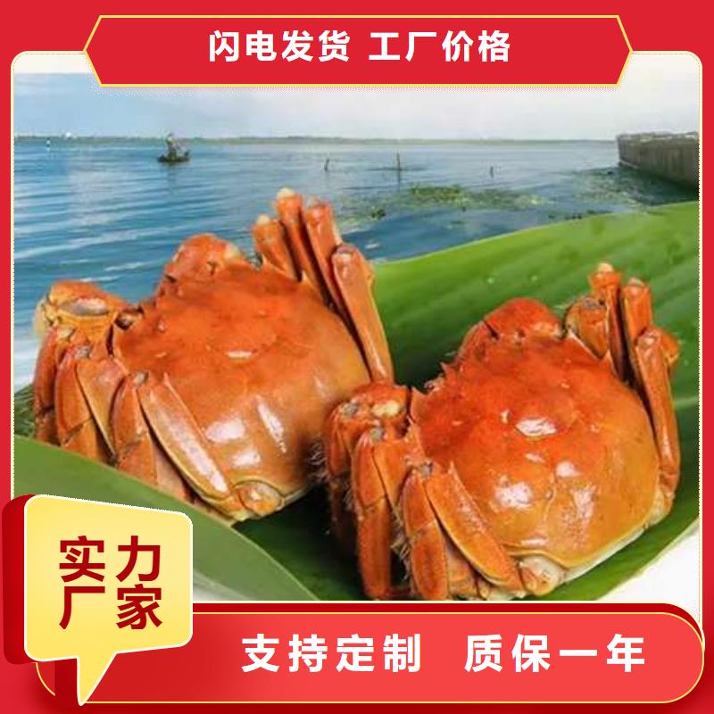 阳澄湖大闸蟹厂家直销-型号齐全
