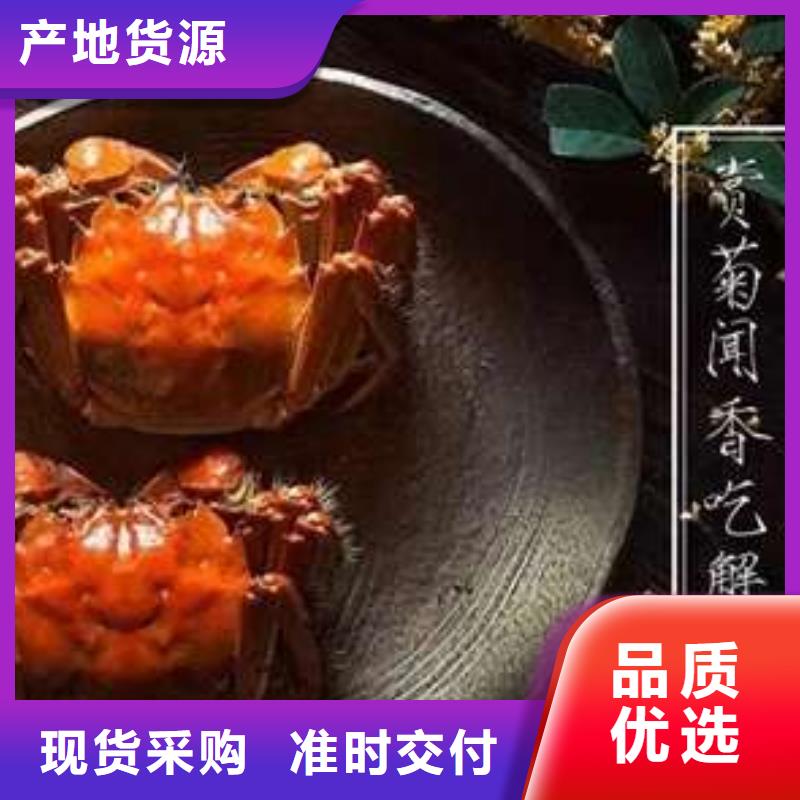 价格合理的阳澄湖大闸蟹经销商