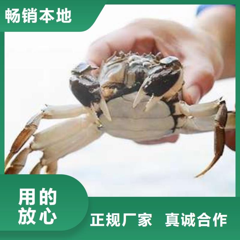 发货速度快的阳澄湖大闸蟹经销商