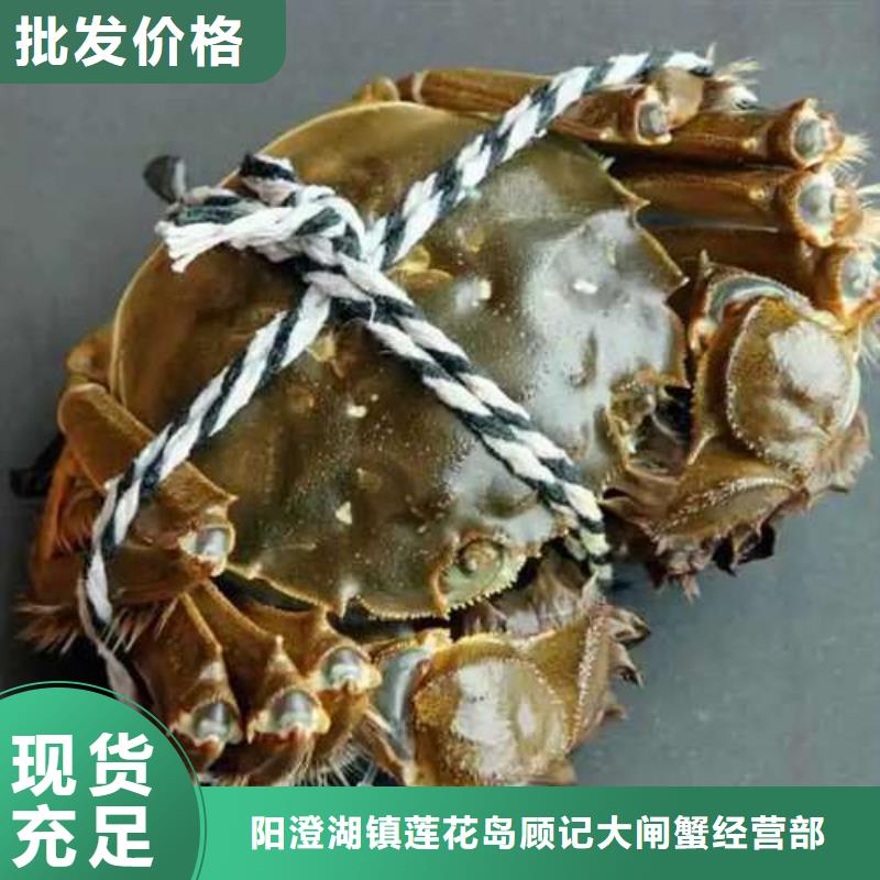 阳澄湖大闸蟹源头厂家