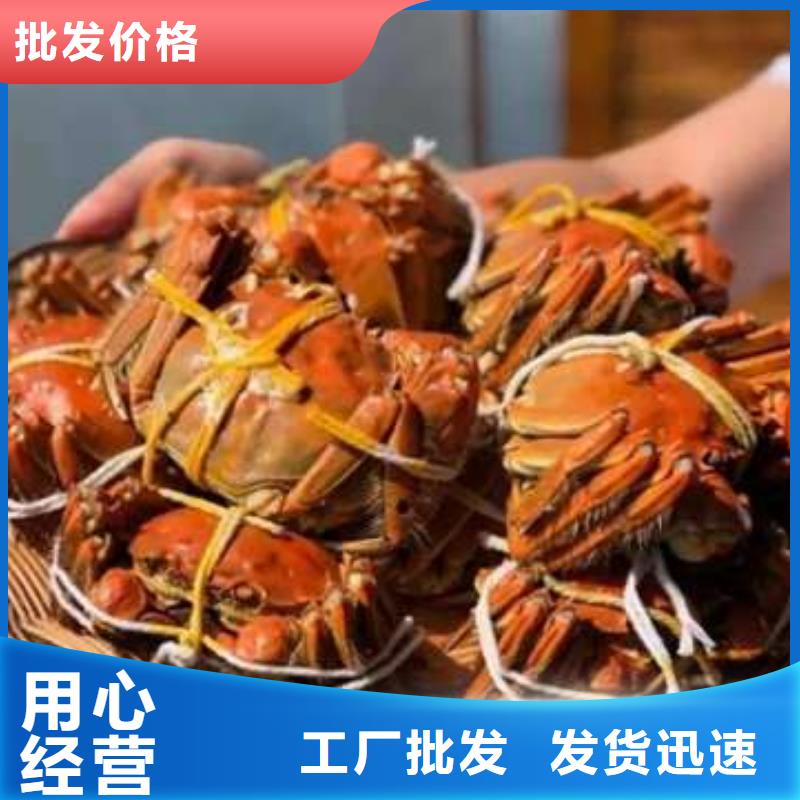 阳澄湖大闸蟹制造厂家
