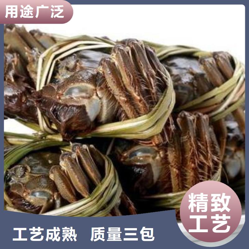 常年供应阳澄湖大闸蟹厂家