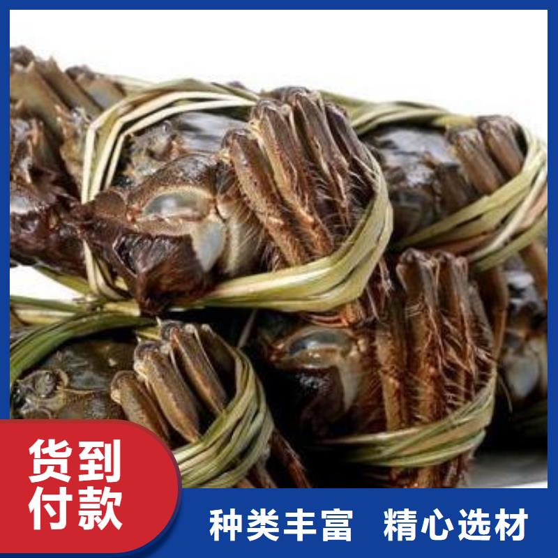 阳澄湖大闸蟹有资质