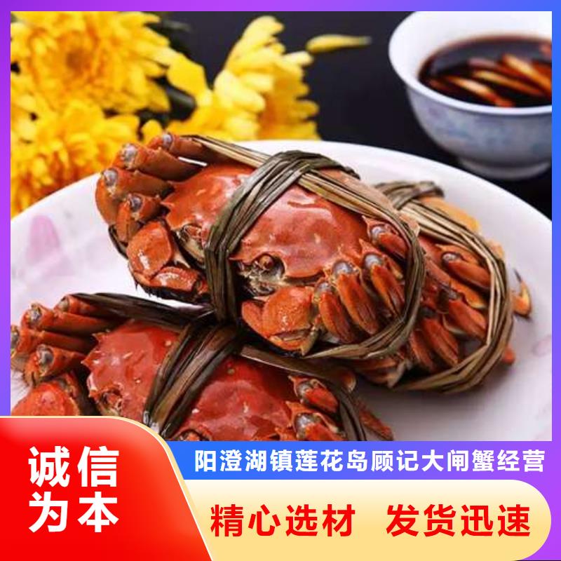 阳澄湖大闸蟹-来电订购