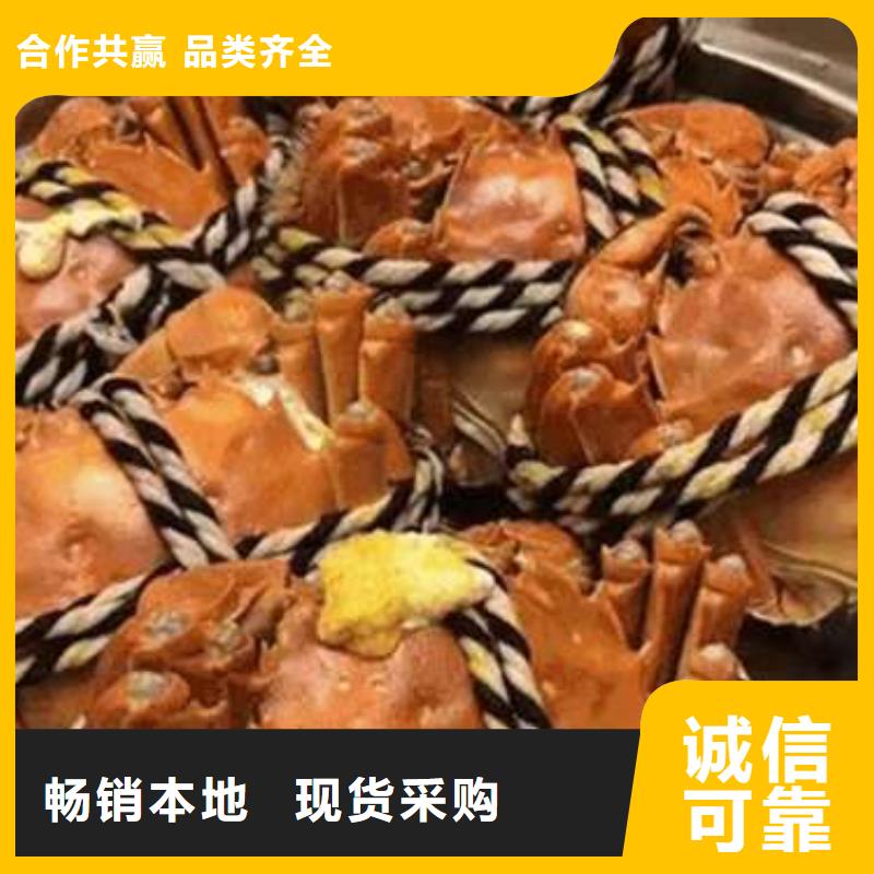 中山市阳澄湖大闸蟹的价格