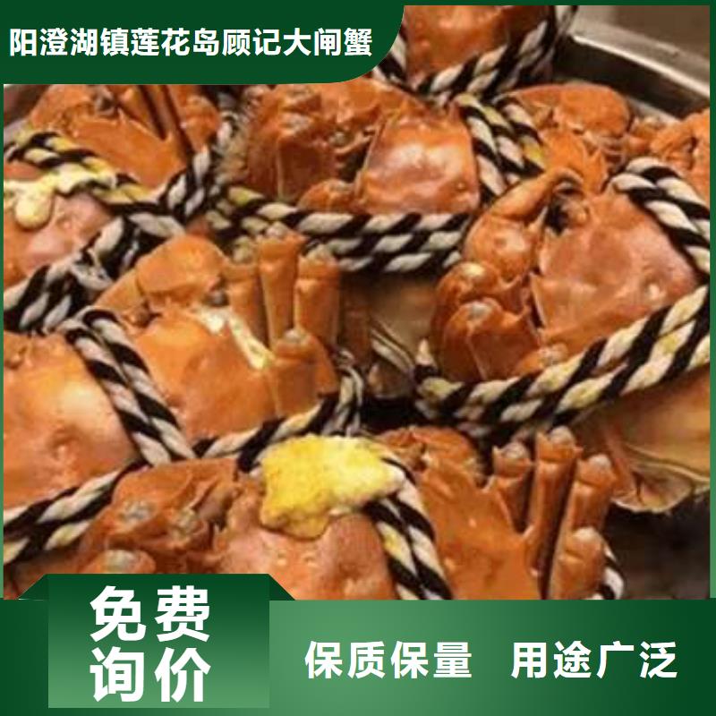 阳澄湖大闸蟹更多详情点击