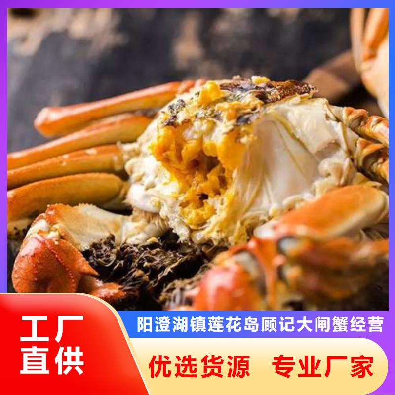 阳澄湖大闸蟹源头厂家