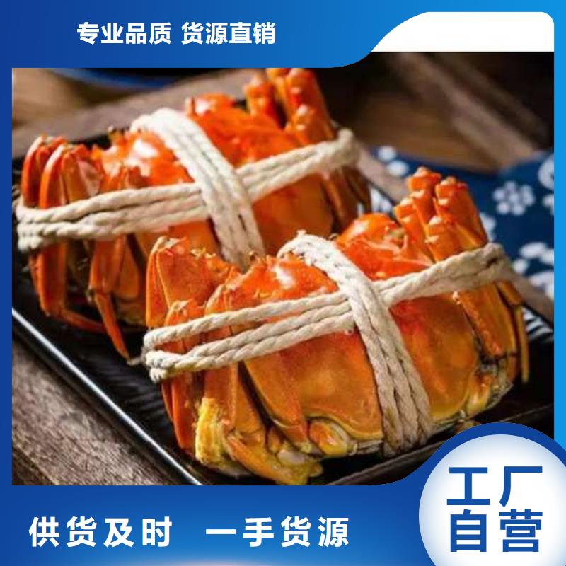 佛山市红膏大闸蟹去哪里买