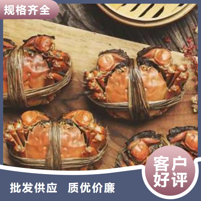 :阳澄湖大闸蟹厂家批发