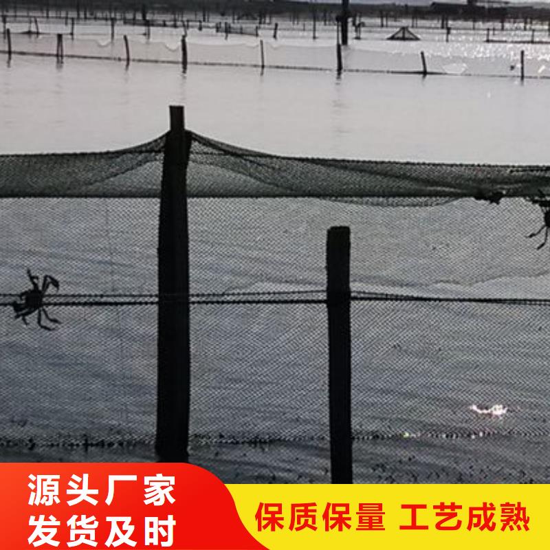 价格公道的阳澄湖大闸蟹厂家