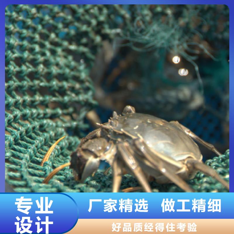 有现货的阳澄湖大闸蟹供货商
