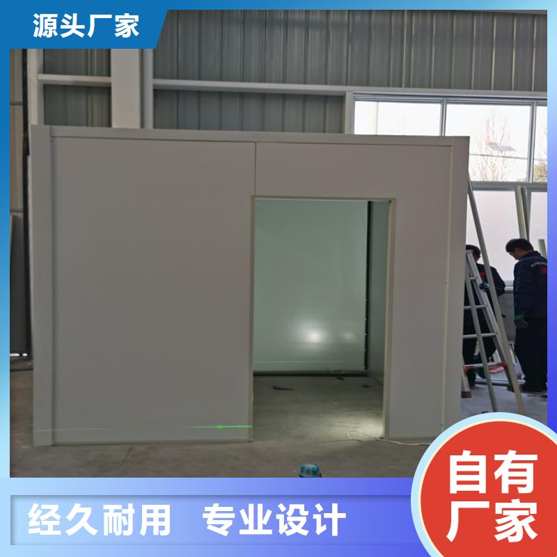 #射线防护子母门#厂家直销