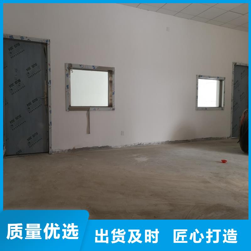 定制电动推拉铅门_品牌厂家