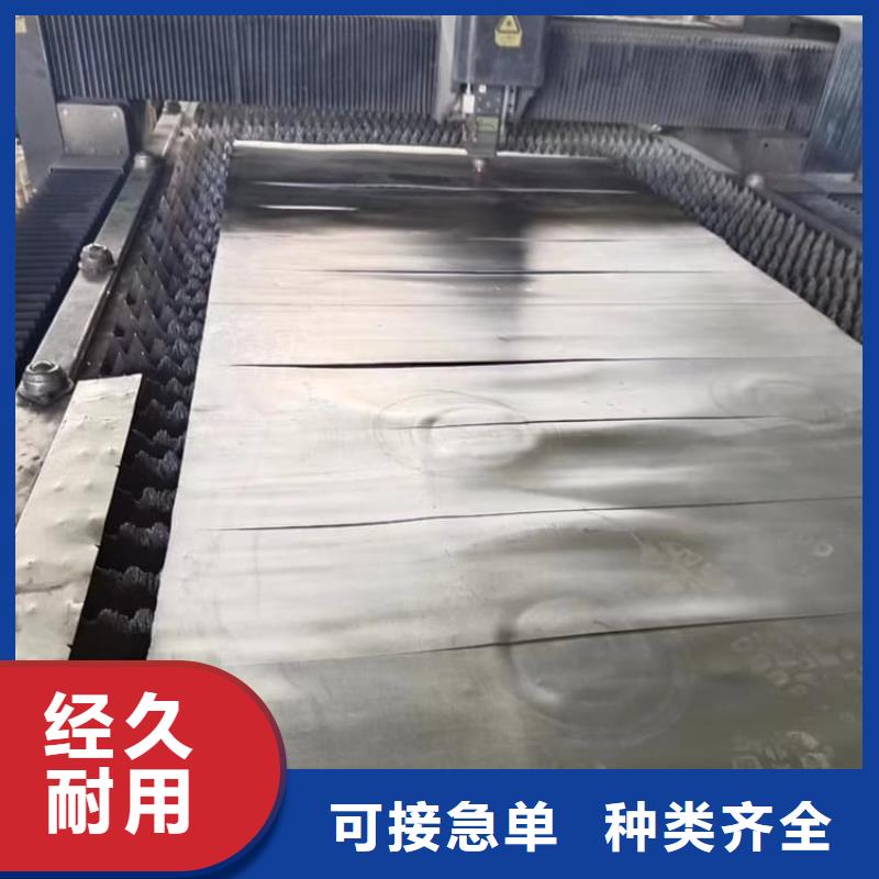 宠物防护铅皮-本地商家