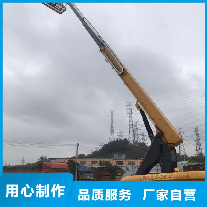 雷州路灯车租赁2025免费咨询