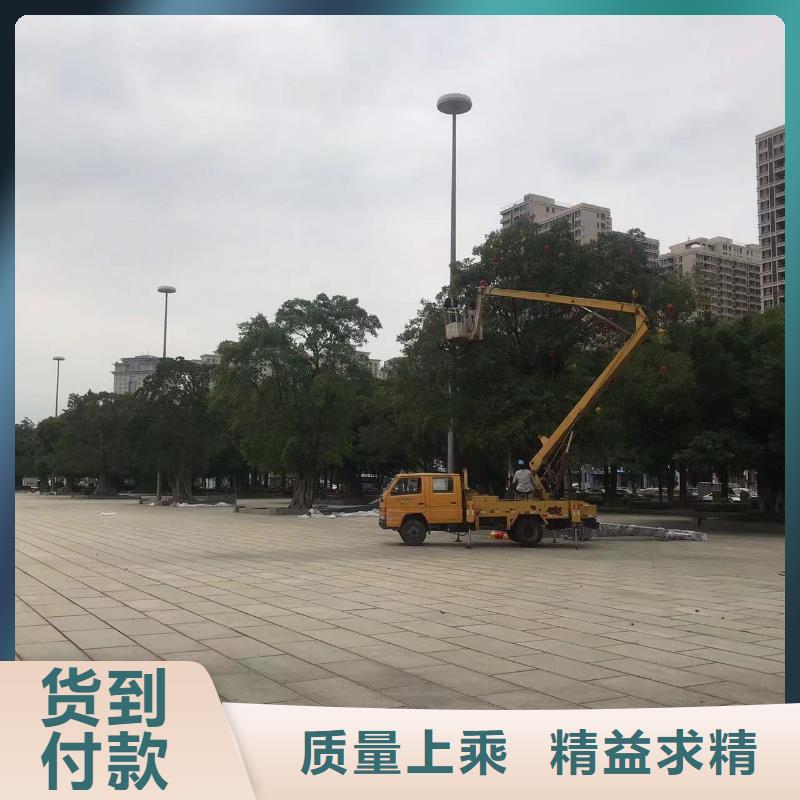 徐闻桥检车出租2025信赖