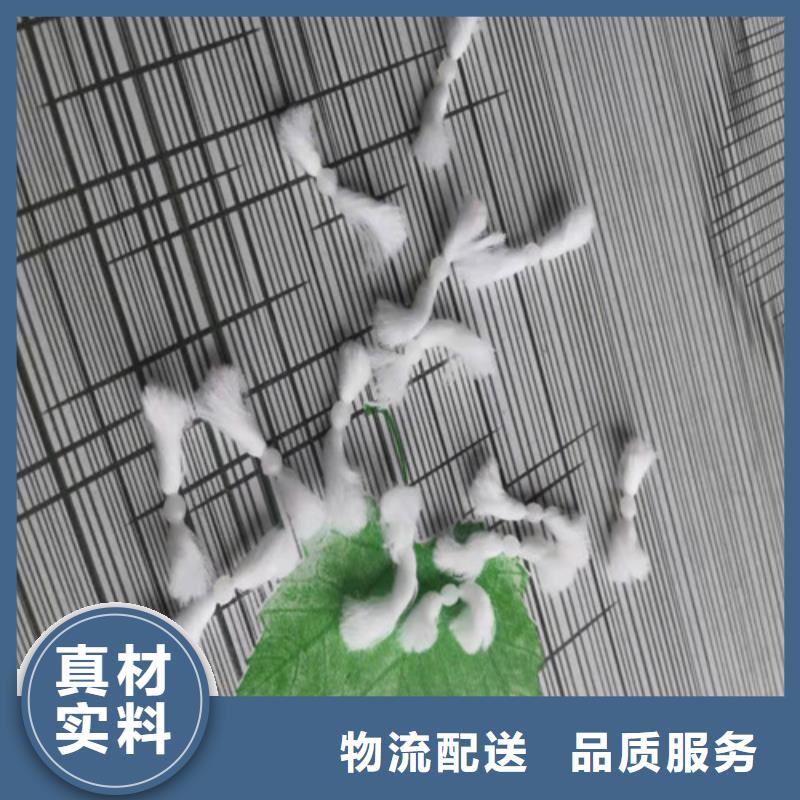 改性纤维球全国配送货号2-101