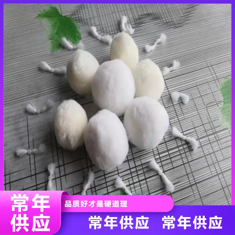 改性纤维球厂家为您服务货号2-101