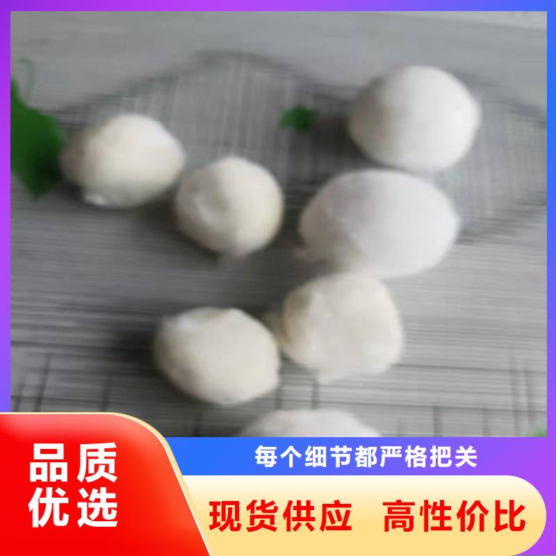 优质纤维球滤料10年经验货号2-101