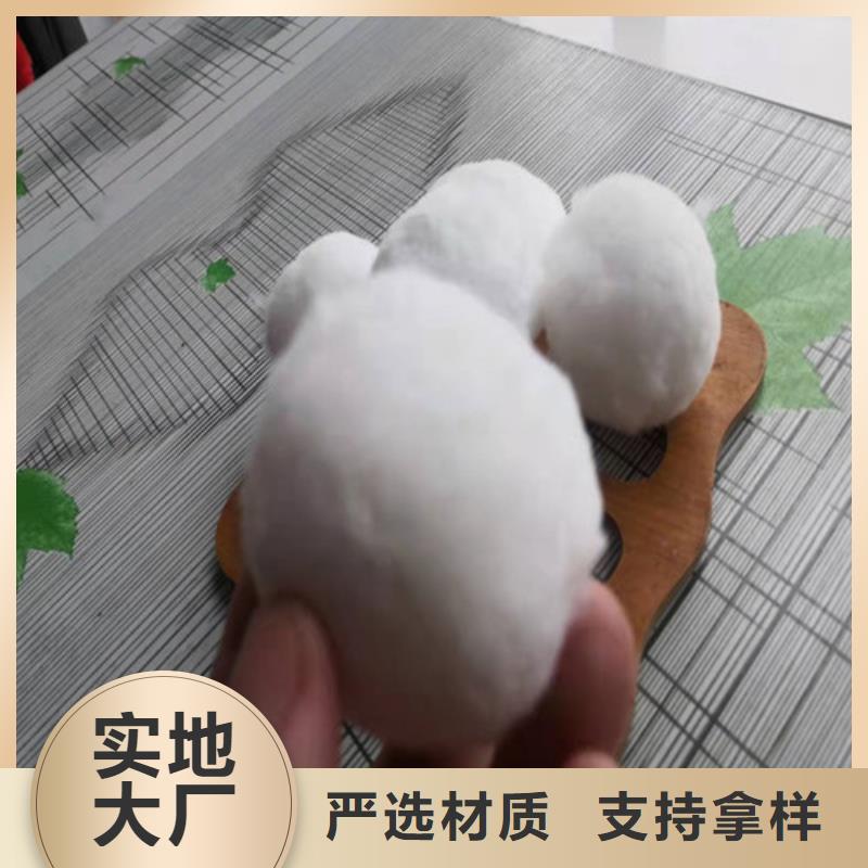 改性纤维球全国配送货号2-101