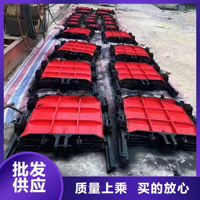 镶铜铸铁闸门_组装式整体闸门[制造生产商]