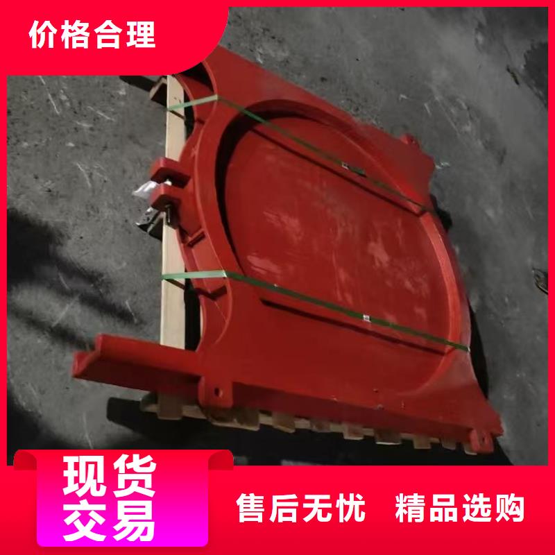 DY型可调节堰门[厂家价格]