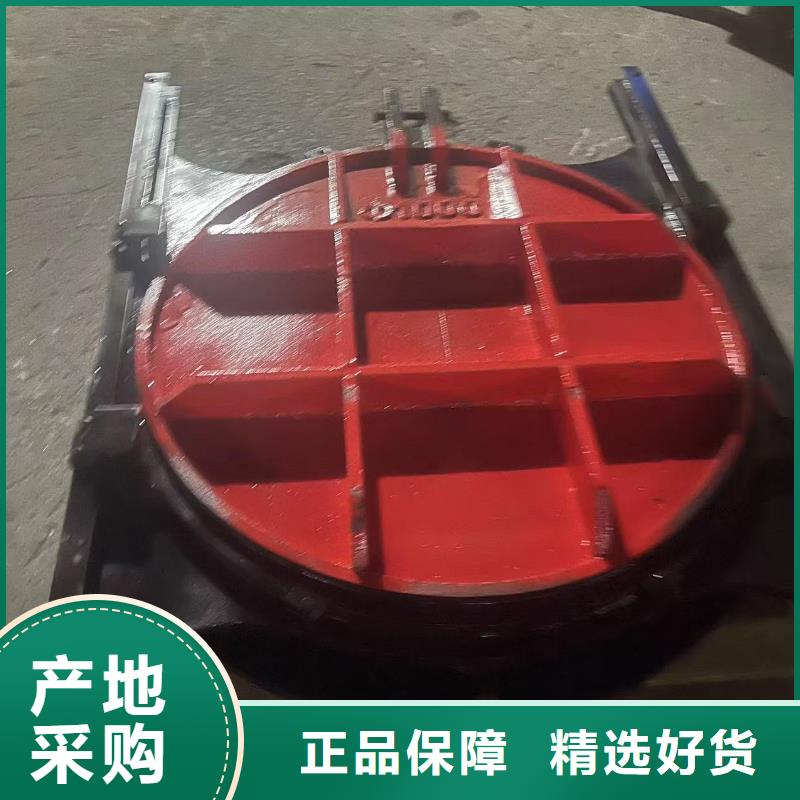 铸铁镶铜闸门-闸门与启闭机直供价优