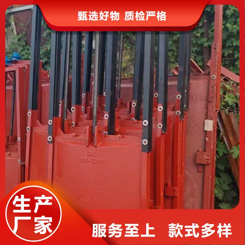 临高县启闭机闸门-pz止水铸铁闸门技术领先