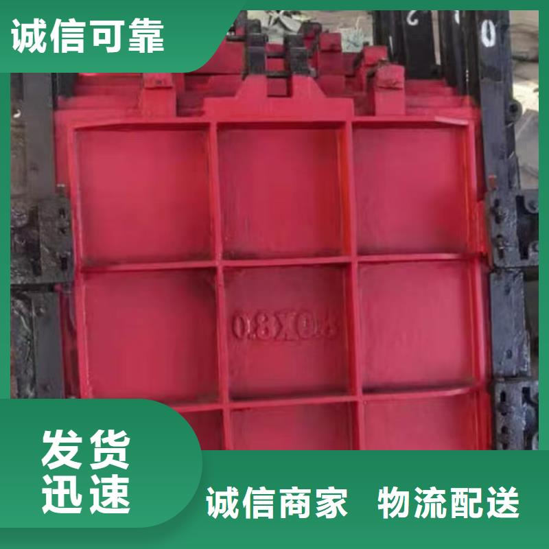 铸铁镶铜闸门-水道闸门技术领先