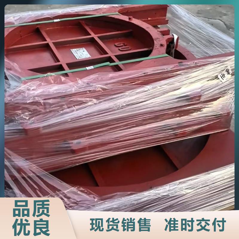 法兰式钢制拍门[生产厂家