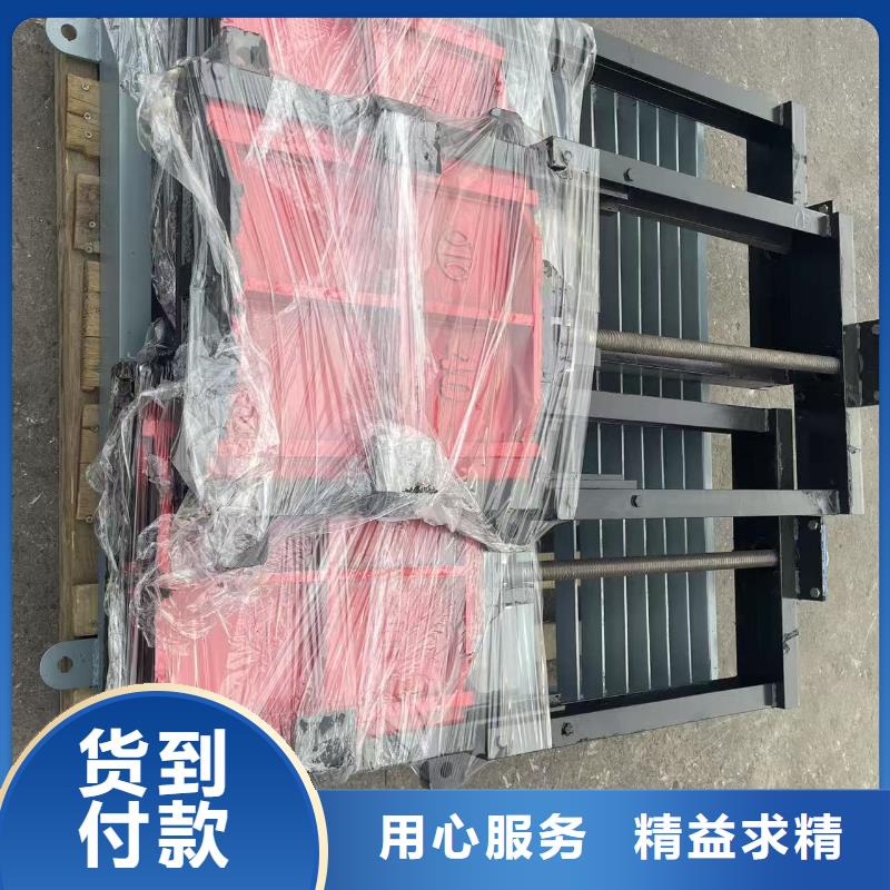 渠道闸门-机闸一体铸铁闸门智能
