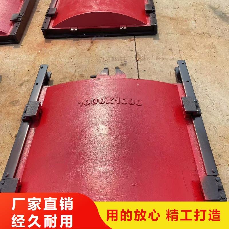 铸铁镶铜闸门-镶铜双向铸铁闸门信誉良好