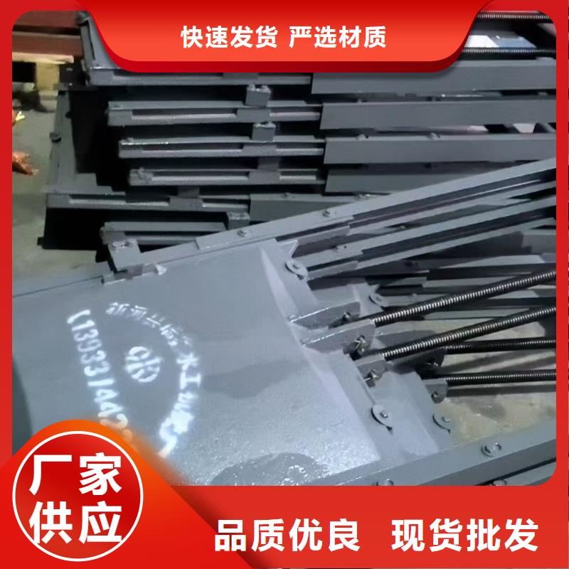 镶铜铸铁闸门现货厂家